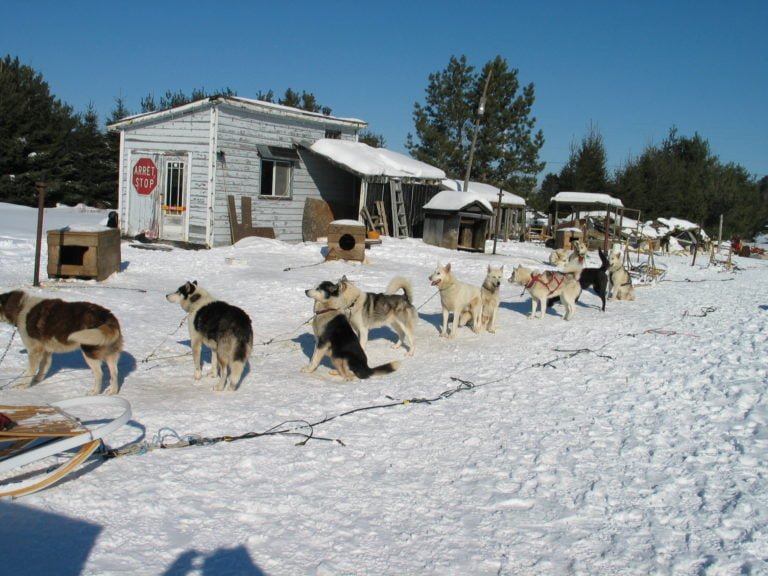 Randonnée en traineau à chiens au Québec - Auberge Couleurs de France