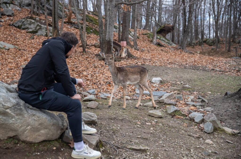 Auberge Couleurs de France : Parc Oméga