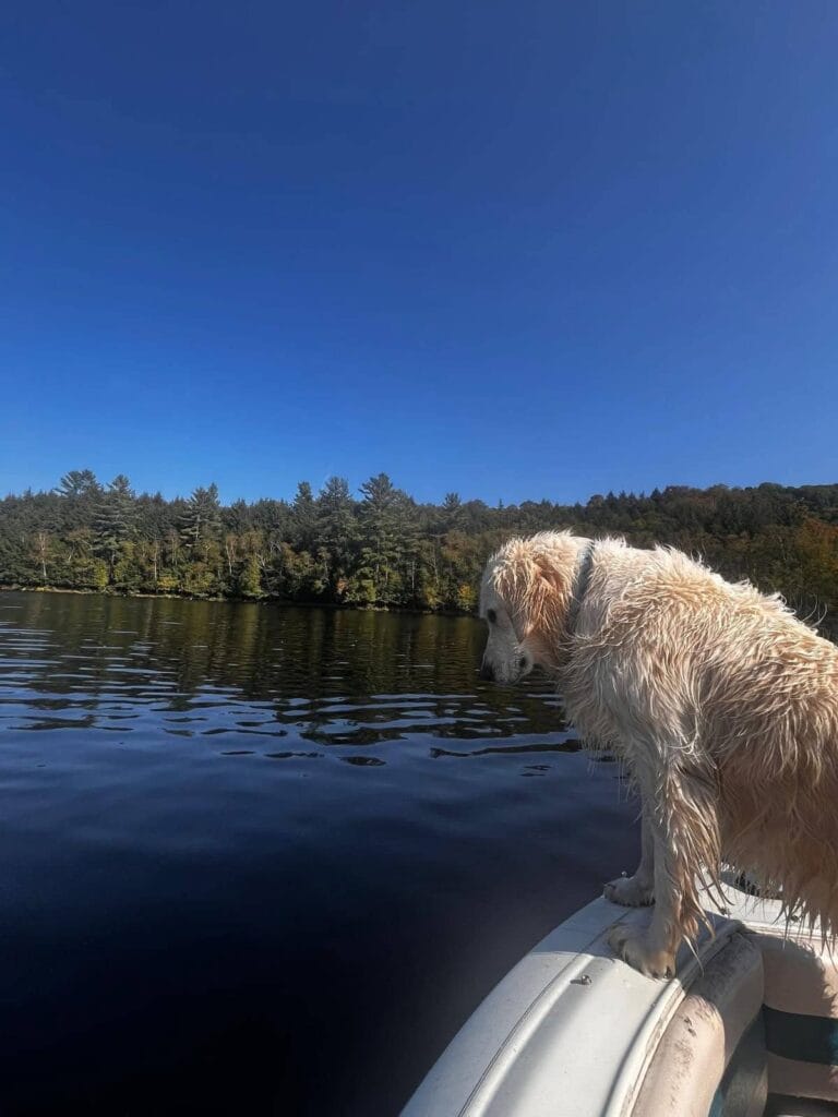 Auberge Couleurs de France - Escapade avec Pitou