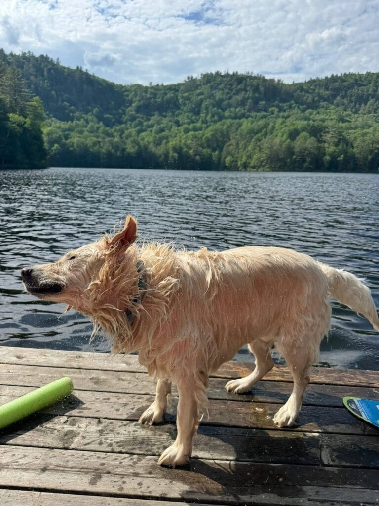 Auberge Couleurs de France - Escapade avec Pitou