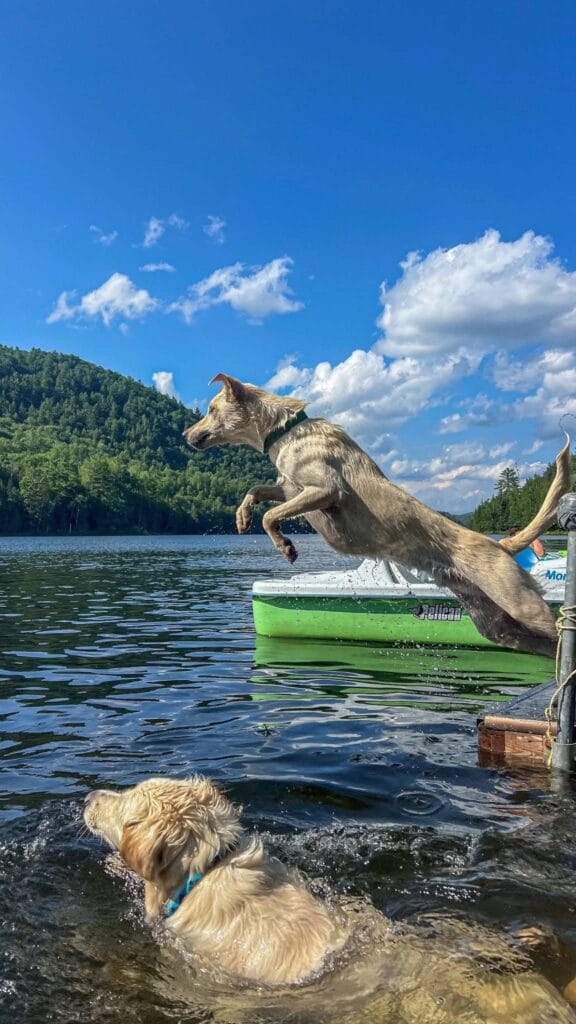 Auberge Couleurs de France - Escapade avec Pitou